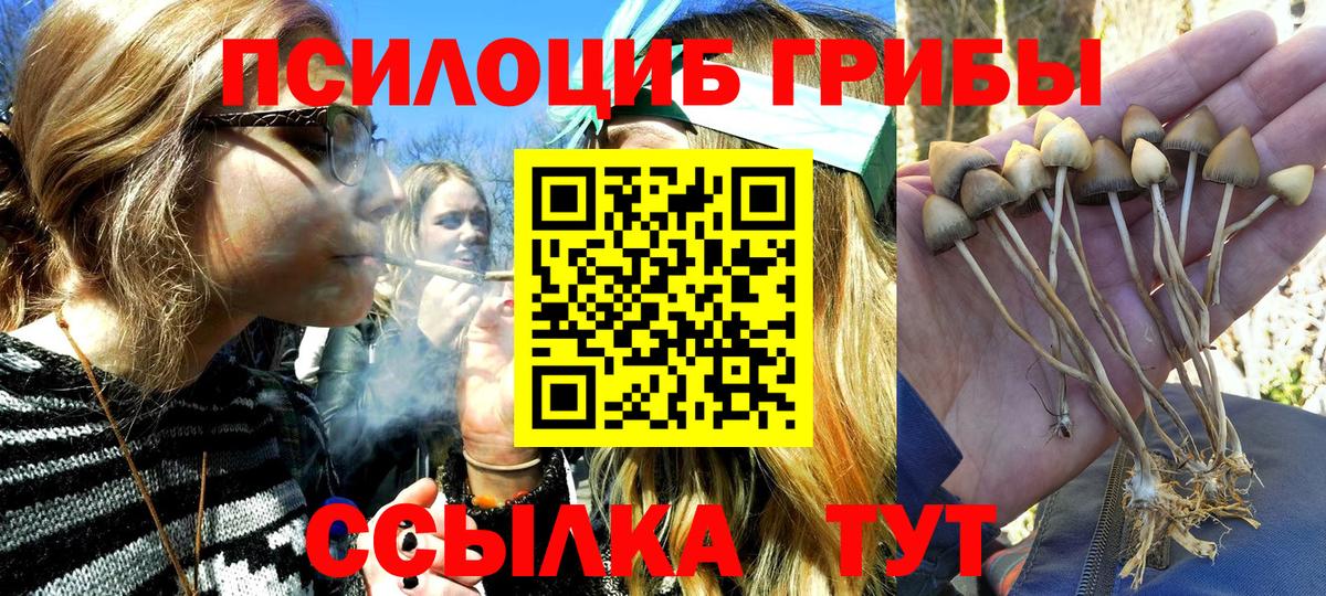 наркошоп  Вход с VPN  Ишим  Псилоцибиновые грибы GOLDEN TEACHER 